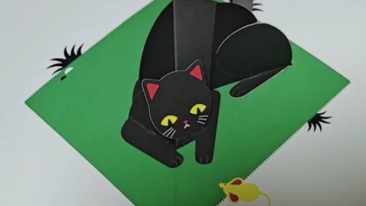Buku stereoskopik buatan tangan kucing hitam yang dibeli melalui crowdfunding, super imut!