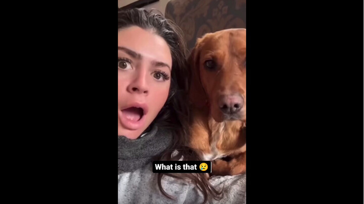 Beagle: Is this real?