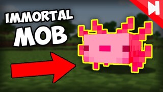 19 Cool Things Minecraft Hides From You