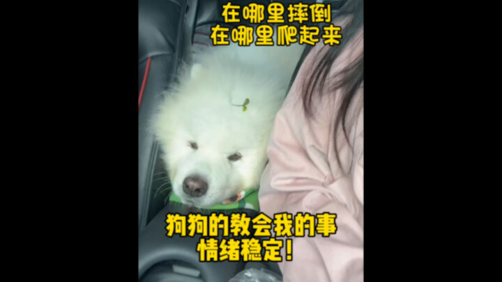 ดูรอบแรก: น่าสงสาร ดูรอบสอง: ฮ่าๆๆๆ… ตัวเล็กน้อยน่ารักสุดๆ