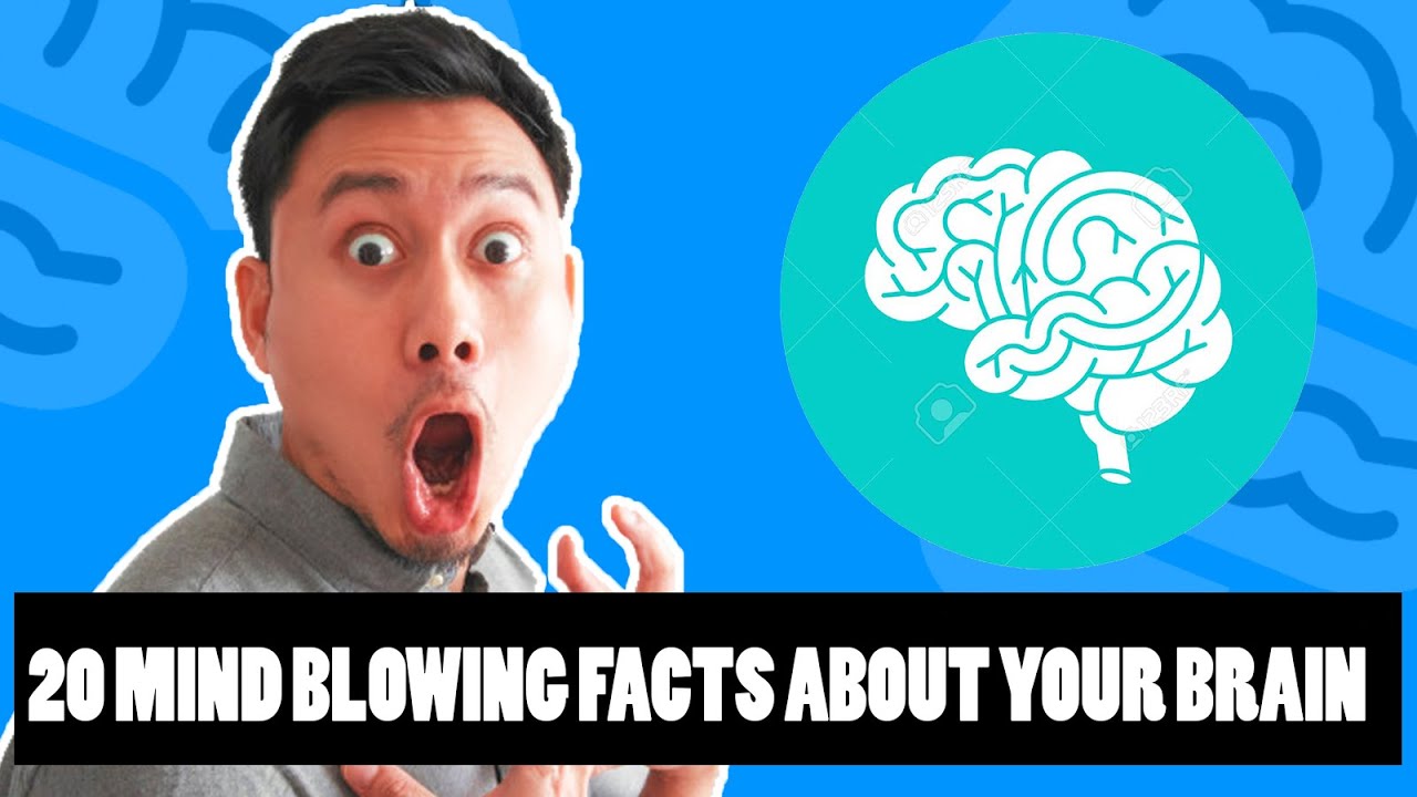 20 Amazing Mind Blowing Facts About Your BRAIN - Bilibili