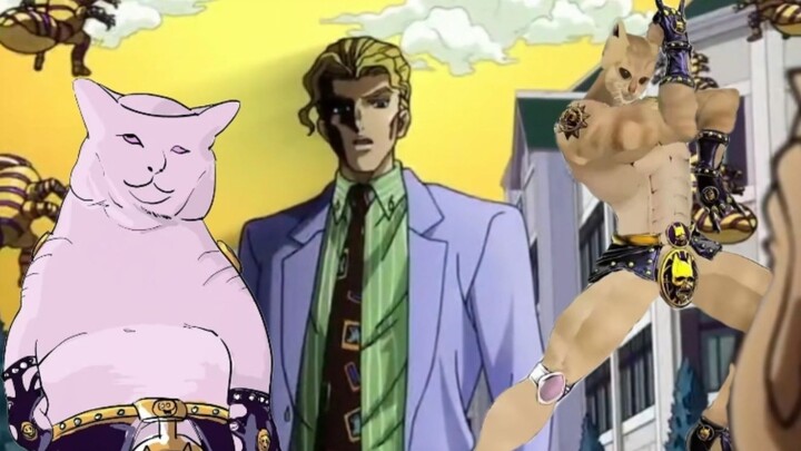 💣🐈Em bé béo em bé béo em bé béo💣🐈