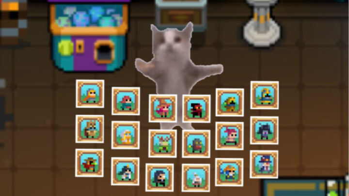 Mèo mèo chơi Nguyền Khí Kỵ Sĩ đã quay trúng skin rồi, vui quá meow～