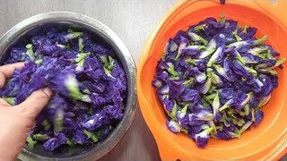 Hoa đậu biếc.nấu canh chua chay món mới