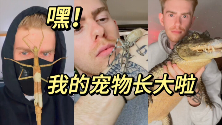 حَيَوَانِي الأَلِيفُ كَبُرَ!