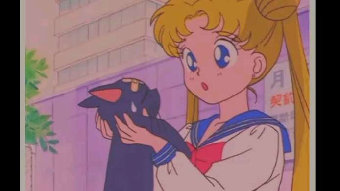 adu anime favorite dong