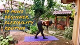 19 mins Beginner Flexibility Routine (Follow Along)
