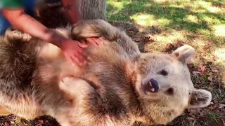 [Animals]The 10 touching moment of pets and owner reunion