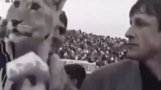 我简单给大家喵两句