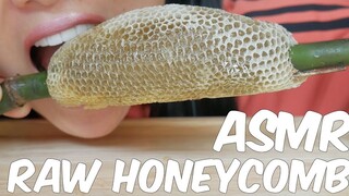 ASMR กินรังผึ้งดิบ (EATING SOUNDS)