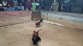 sya Uli dehado pa