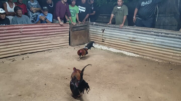 sya Uli dehado pa