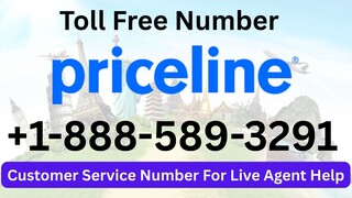 How to Contact Priceline Customer Service® for Quick Help
