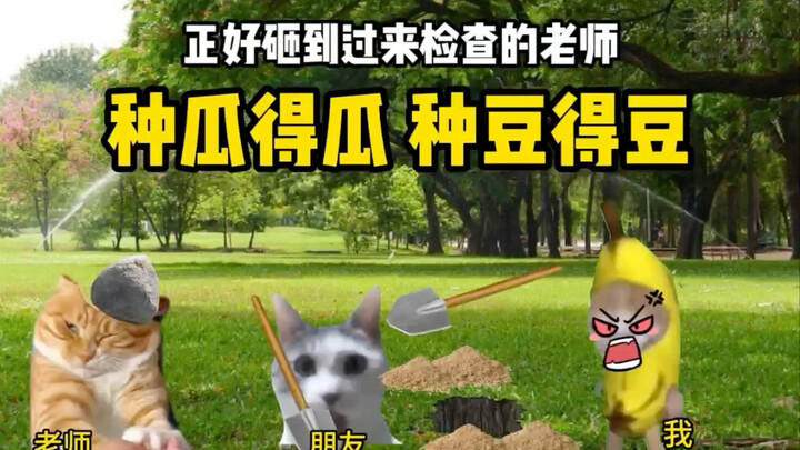 You reap what you sow—sow friends...