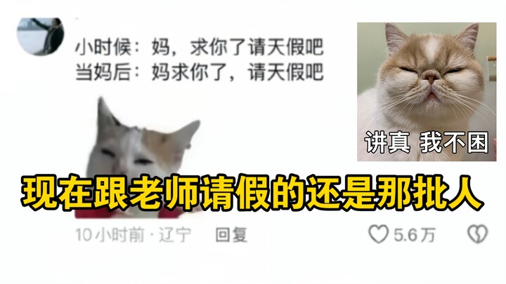现在跟老师请假的还是那批人 #内容过于真实 #人类幼崽 #亲子教育 #上学