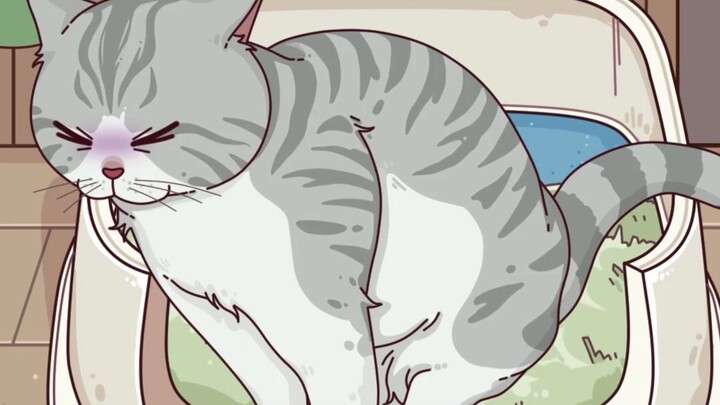 Why do cats get so excited after using the litter box?