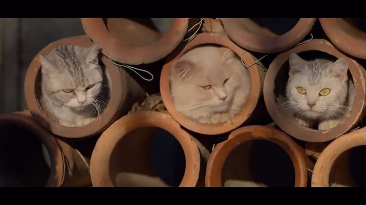 【Chinese Subtitles】Movie Trailer for "Cat and Grandpa" @Alpha Team Japanese Translation Group