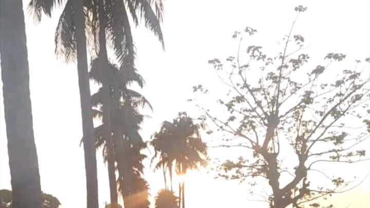 ফরিদপুর