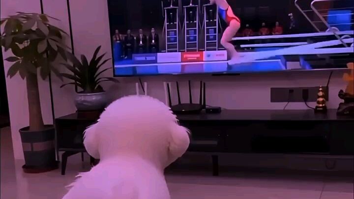 #bts