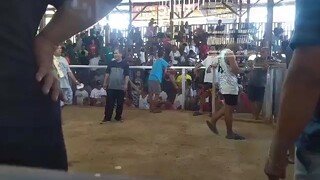 Win