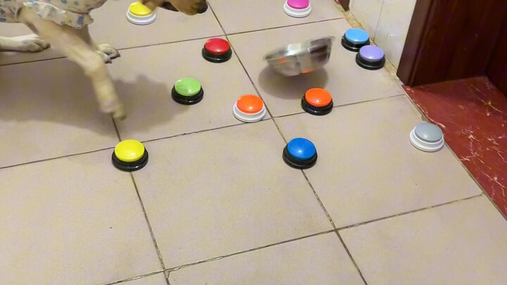 今天按到什么做什么