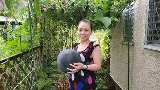 Vợ Hái Dưa Hấu Nằm Võng và Nấu Lẩu Mắn | Út Đạt | Cuộc Sống Nhật | # 292