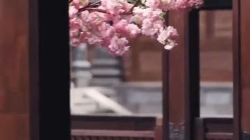 🎬ท่านอ๋องชาตินี้ไม่รักแล้ว 🗣พากย์ไทย(เต็มเรื่อง)