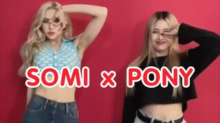 SOMI全昭弥 x PONY《DUMB DUMB》舞蹈视频公开！