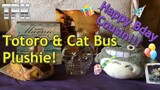 Totoro and Cat Bus Plushies + Glass Skull Head (A B-day Gift)