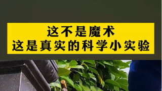 这不是魔术这是真实的科学小实验，在家里面也能做的科学小实验！