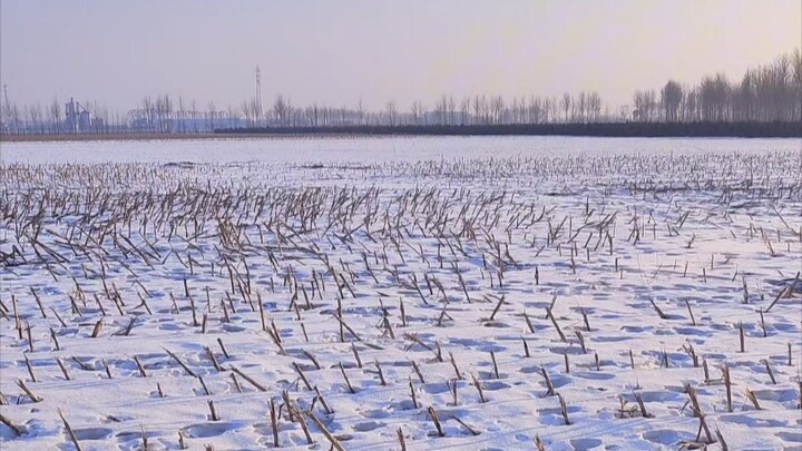 Is it colder in Northeast China or in the South?