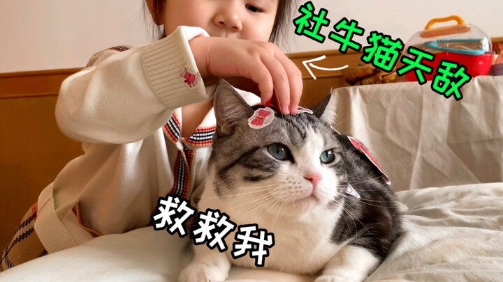 Apa yang harus dilakukan kalau kucing terlalu manis? Cari bayi manusia dong! Kita semua kan harus pa