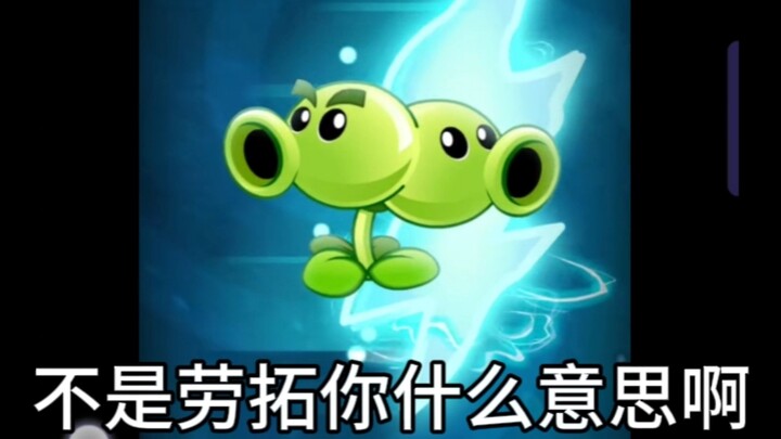 So hilarious it’s infuriating.