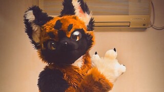 Pari-pi Kongming !! Chiki Chiki Ban Ban !! Mencoba Menari !!