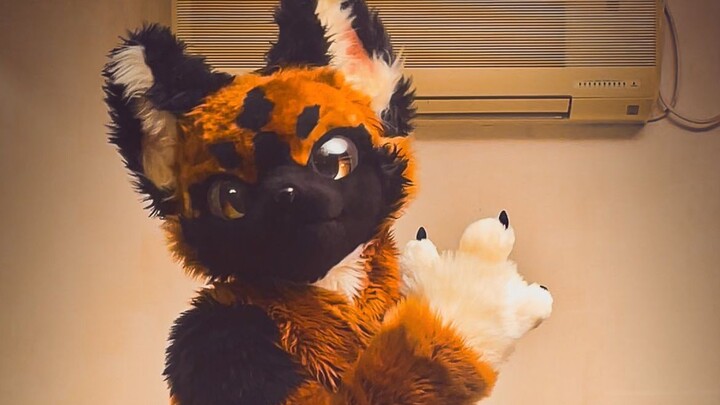 パリピ孔明 !! チキチキバンバン !! 踊ってみた !!