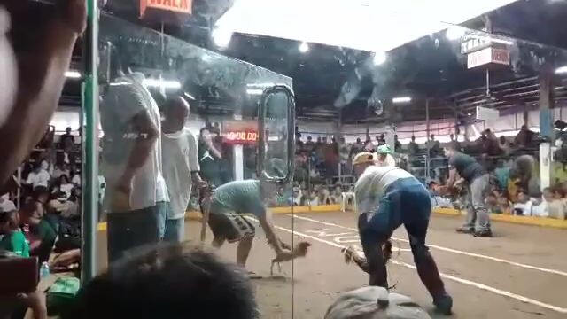 tamang timeng lang para easy money... quality kalaban hinde naka porma