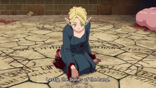 Episode 12 Delicious in Dungeon (English Sub)