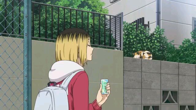 HAIKYUU! THE DUMPSTER BATTLE!