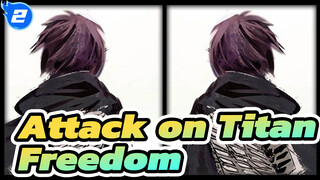 Attack on Titan|Is it really Freedom on the other side of the sea?_2