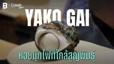 ‘YAKO GAI’ หอยมุกไฟที่ใกล้สูญพันธุ์ | Sauce ใต้สมุทร [Dir. zombie]