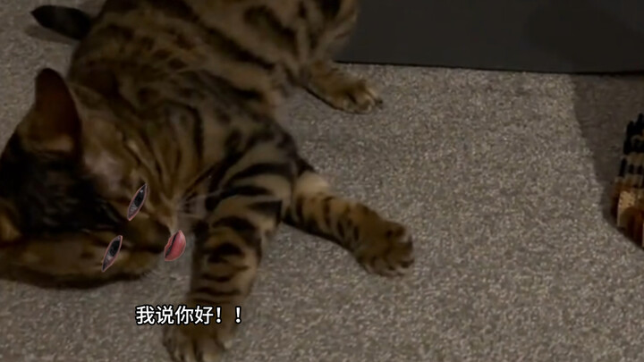 Cat: So strong—I can’t even sense its presence!