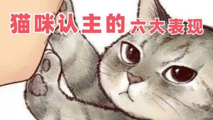 Tanda-tanda kucing menganggap seseorang sebagai tuannya; apakah kucing kesayanganmu memandangmu hany