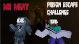 Monster School : Mr Meat Prison Escape Challenge - Horror Minecraft Animation
