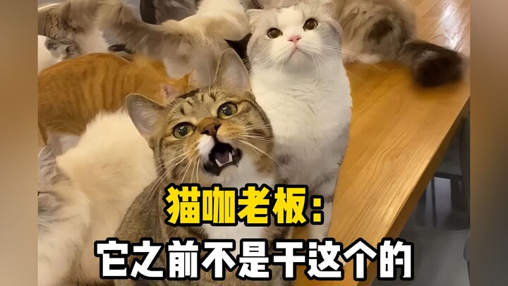 How could anyone resist rescuing a cutie like this?