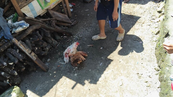 Oct 5 Binabae vs Sinibalang