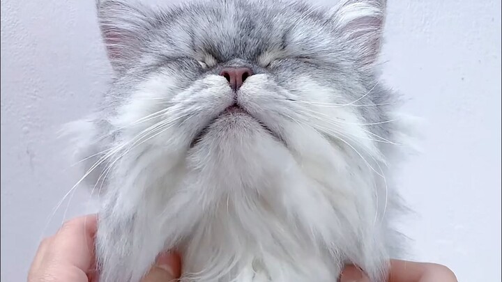 “Nắn nắn vui nhộn” 🍩🐾🐙🍓⭐🐤💗🔮
