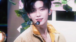 【NCT】划  内  五  大  派  系