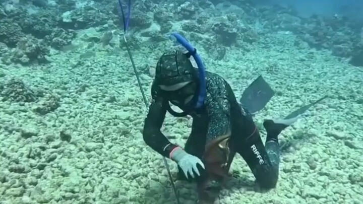 Scuba Diving underwater