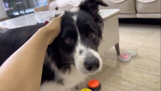 小狗：好的演完了吧，我还有正事要办