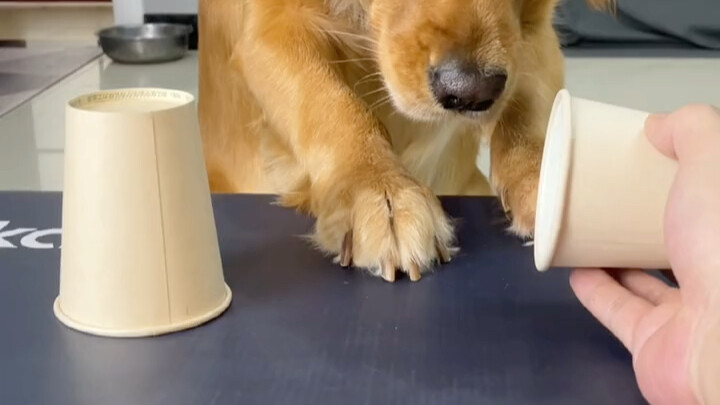 It feels right, but not entirely 😂